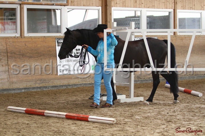 03-OKV-TIH_215.jpg
