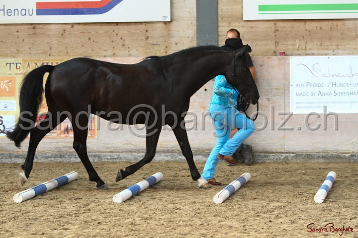 03-OKV-TIH_219.jpg