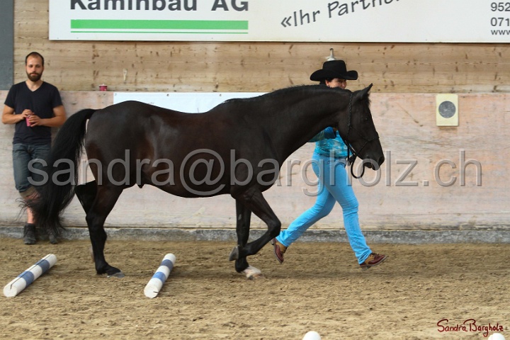 03-OKV-TIH_220.jpg
