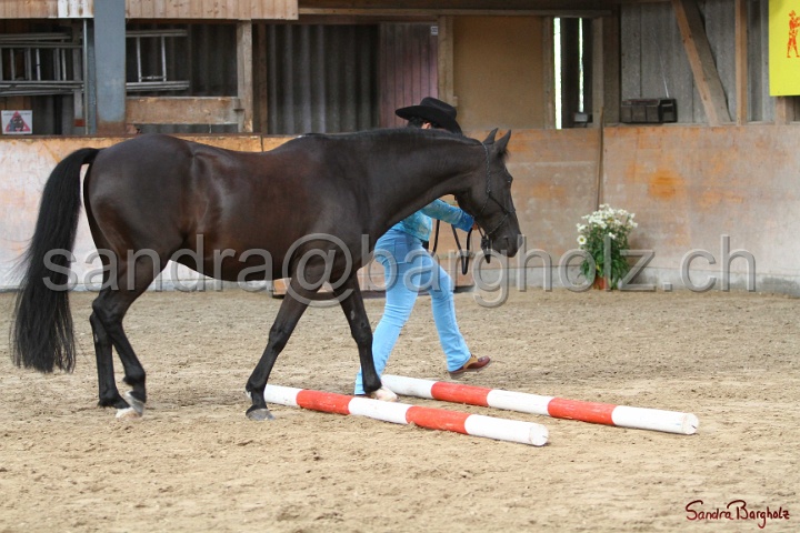 03-OKV-TIH_222.jpg