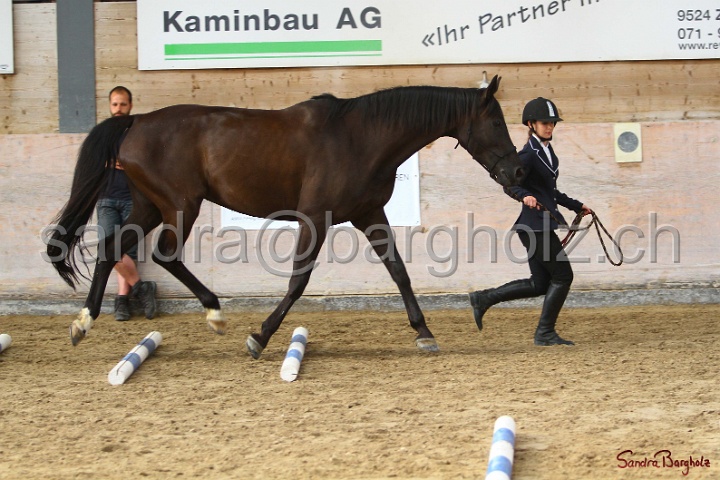 03-OKV-TIH_243.jpg