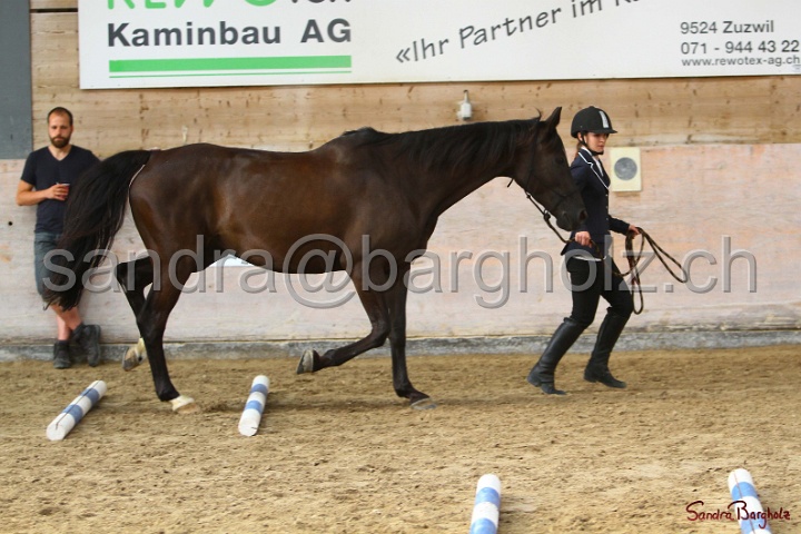03-OKV-TIH_244.jpg