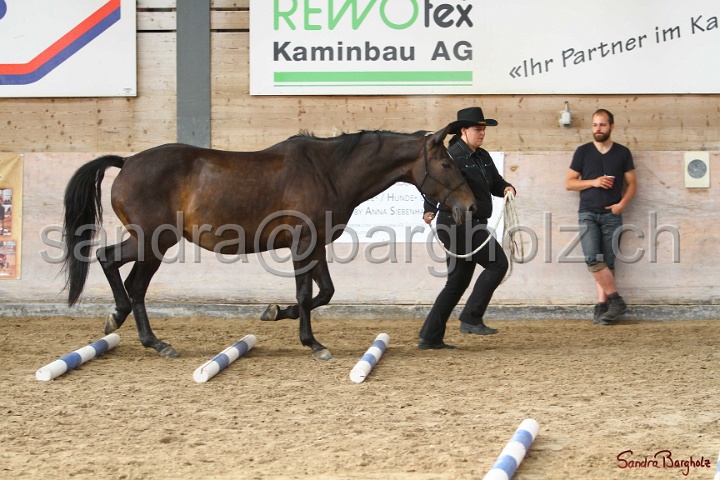 03-OKV-TIH_260.jpg