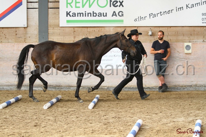 03-OKV-TIH_261.jpg