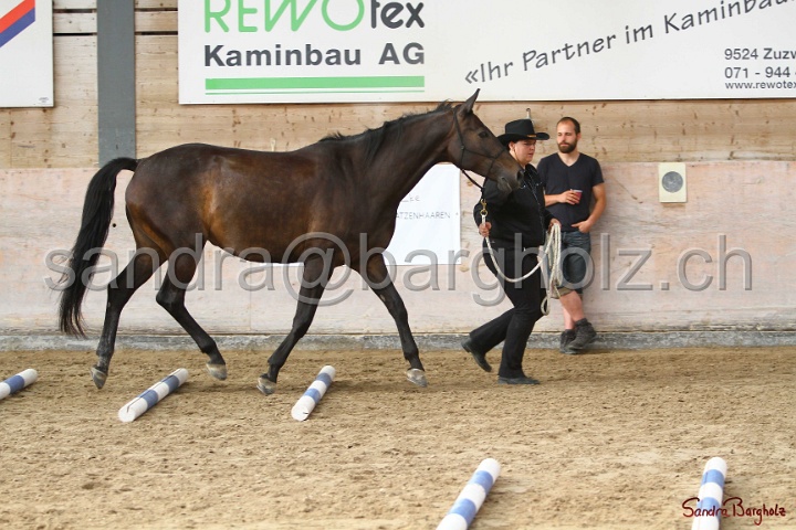 03-OKV-TIH_262.jpg