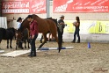 03-OKV-TIH_028