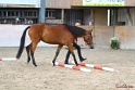 03-OKV-TIH_039