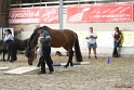 03-OKV-TIH_047