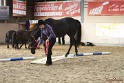 03-OKV-TIH_075