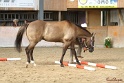 03-OKV-TIH_127