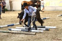03-OKV-TIH_143