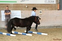 03-OKV-TIH_149