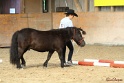 03-OKV-TIH_152