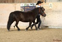 03-OKV-TIH_154