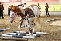 03-OKV-TIH_168