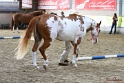03-OKV-TIH_173