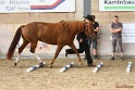 03-OKV-TIH_201
