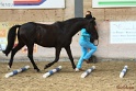 03-OKV-TIH_219