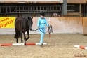 03-OKV-TIH_221