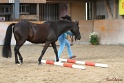 03-OKV-TIH_222