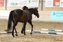 03-OKV-TIH_259