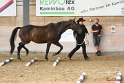 03-OKV-TIH_261
