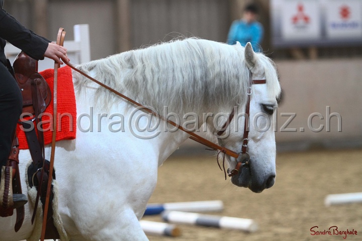 04-OWTT_231.jpg