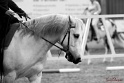 04-OWTT_230