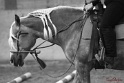 04-OWTT_252