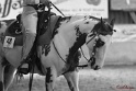 04-OWTT_264