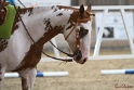 04-OWTT_265