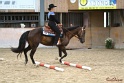 05-GGT_010