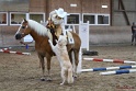 09-HDT_011