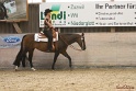 13-OWTWP_013