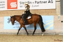 13-OWTWP_044