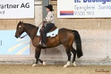 13-OWTWP_047