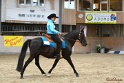 15-OKV-OHS_026