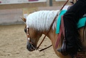 15-OKV-OHS_090