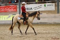 17-GWHS_031