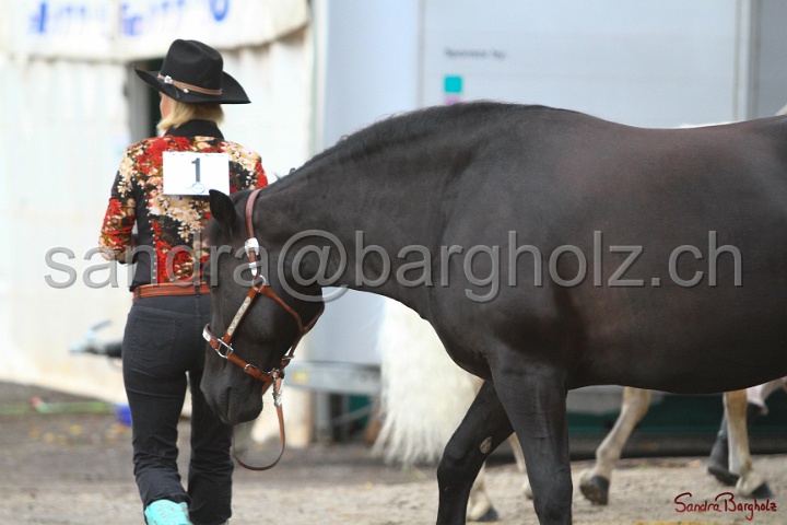 37-OT_007.jpg
