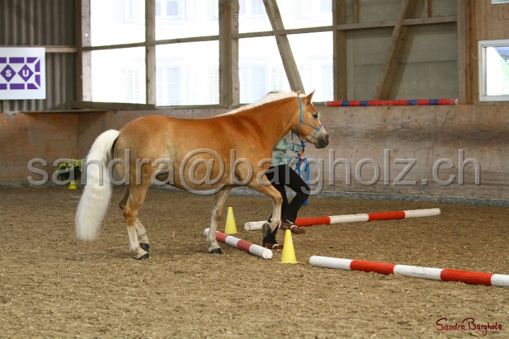 02-OIHT_041.jpg