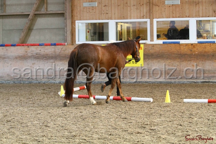 02-OIHT_063.jpg