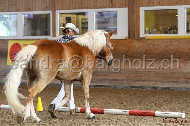02-OIHT_310.jpg