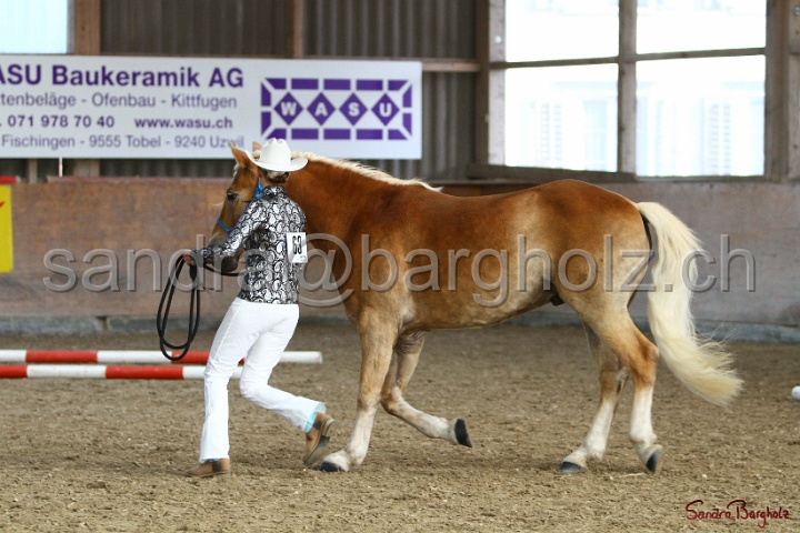 02-OIHT_314.jpg