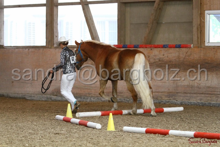 02-OIHT_317.jpg
