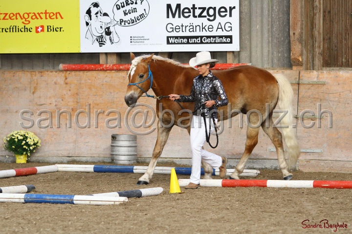 02-OIHT_320.jpg