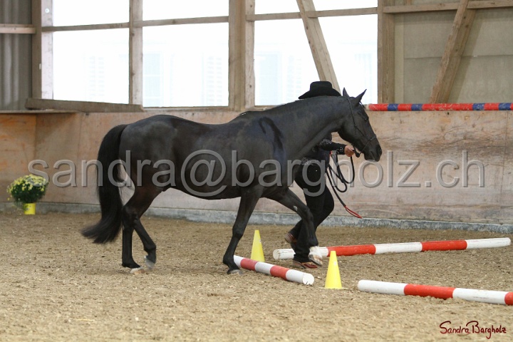 02-OIHT_352.jpg