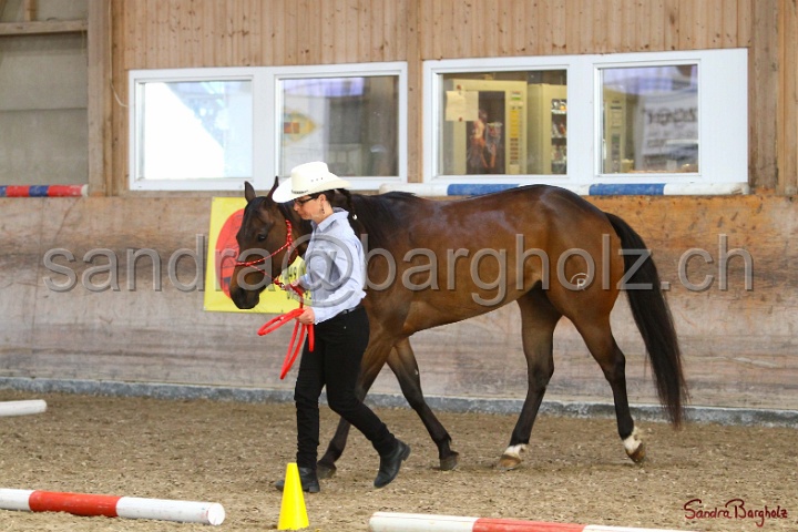 02-OIHT_387.jpg