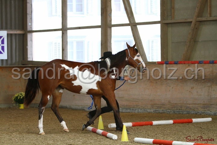 02-OIHT_464.jpg