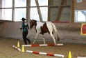 02-OIHT_239